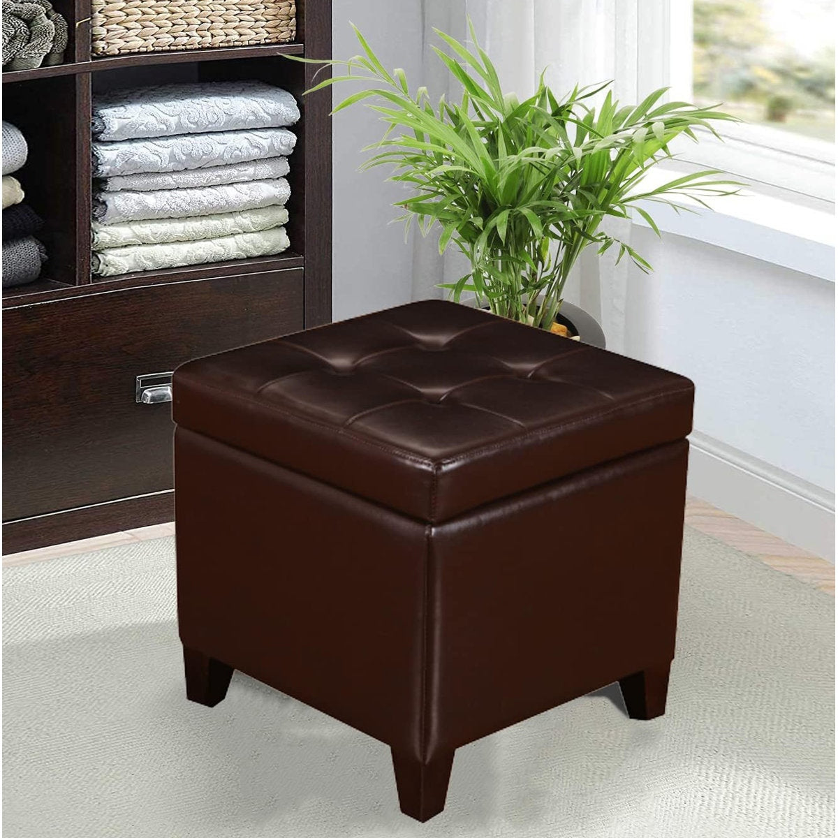 Brown leather ottoman in a room with a bookshelf and plant