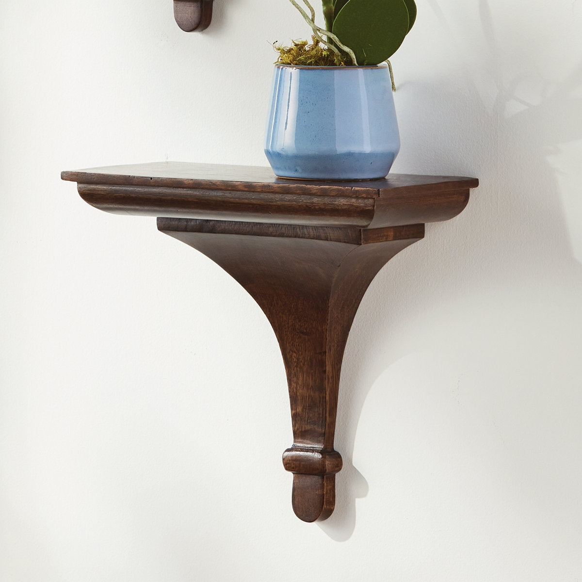 Wooden wall shelf with a blue pot and plant on a white background