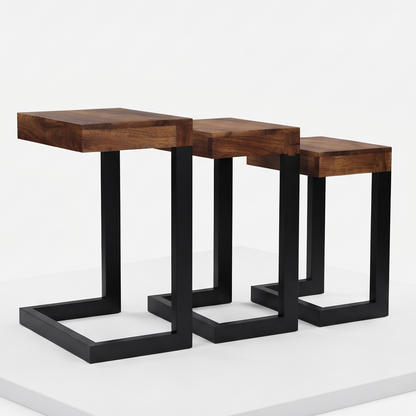 ADOUER WOOD Modern Mango Wood Nesting Coffee/Side Tables with Black Wood Frame