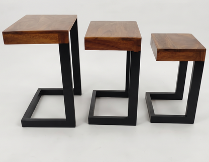 ADOUER WOOD Modern Mango Wood Nesting Coffee/Side Tables with Black Wood Frame
