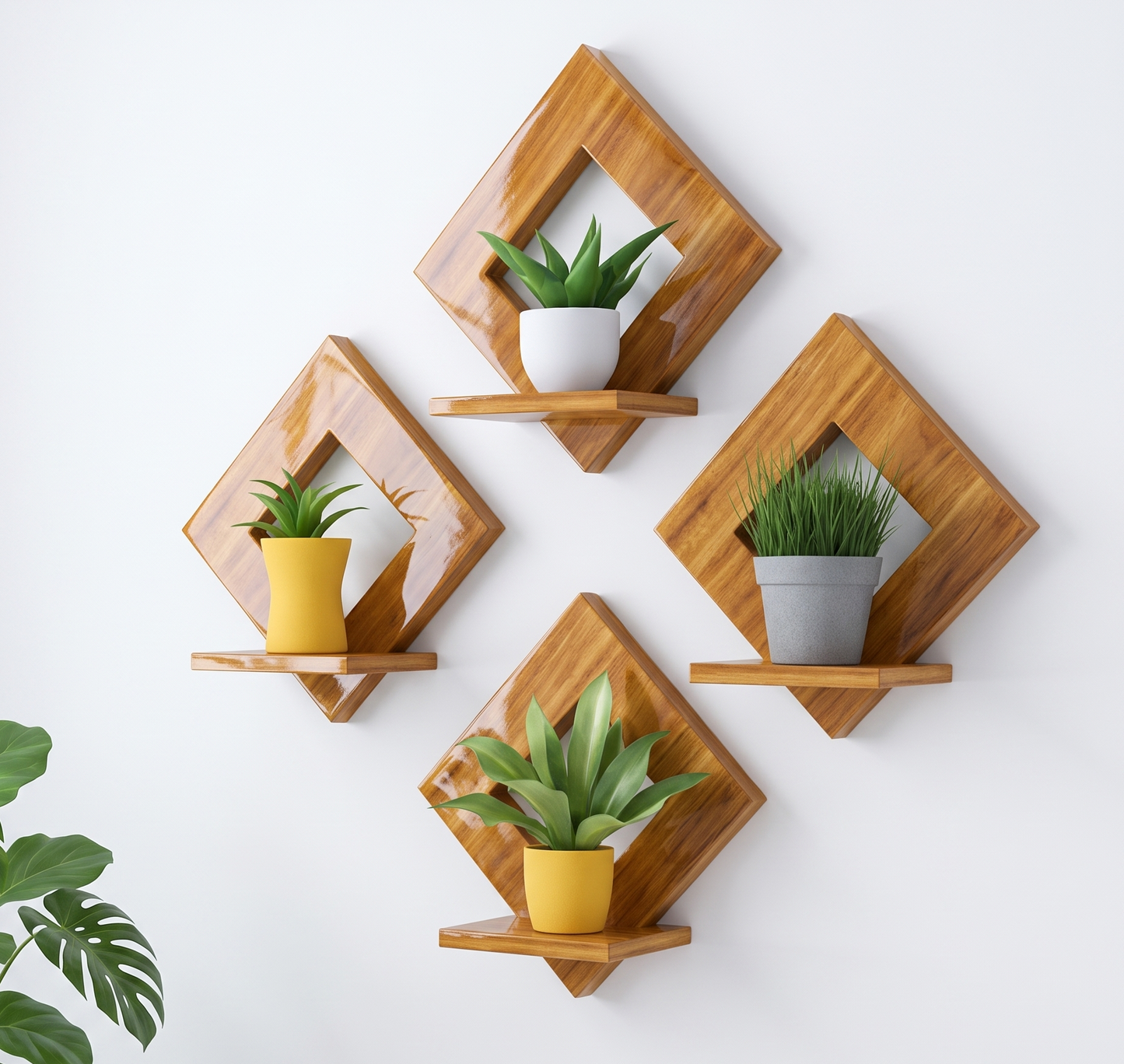 Wooden wall shelves with potted plants on a white background